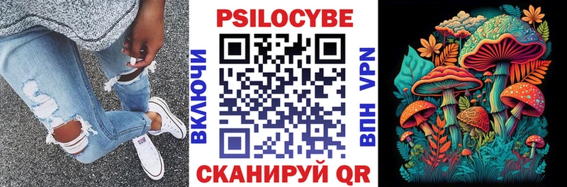 blacksprut как войти  Вязники  shop клад  Псилоцибиновые грибы MAGIC MUSHROOMS 